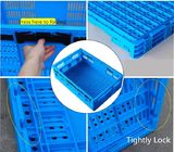 Pp.-Gebrauchsverteilungs-zusammenklappbare faltende Plastikkiste für Supermarkt/Hauptlagerung