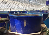 Produkte M5000L Rotomolding, offenes Kreisblau 1300 Gallone Aquaponics-Wasser-Behälter