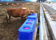 Automatische Kunststoff-Viehtränken mit kontinuierlichem Durchfluss für das Rotomolding von Tränken